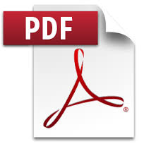 PDF ico